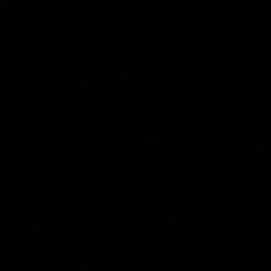 Meet your Posher, Gabriela